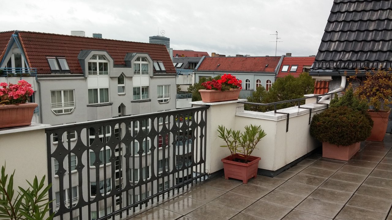 Вид на соседние крыши (2).jpg
