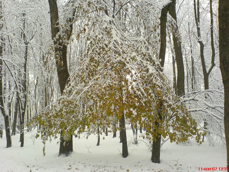 Парк Блонье в Смоленске Снегопад