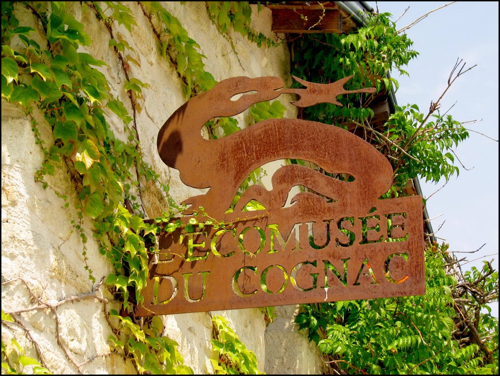 Ecomusee Du Cognac 5876.jpg