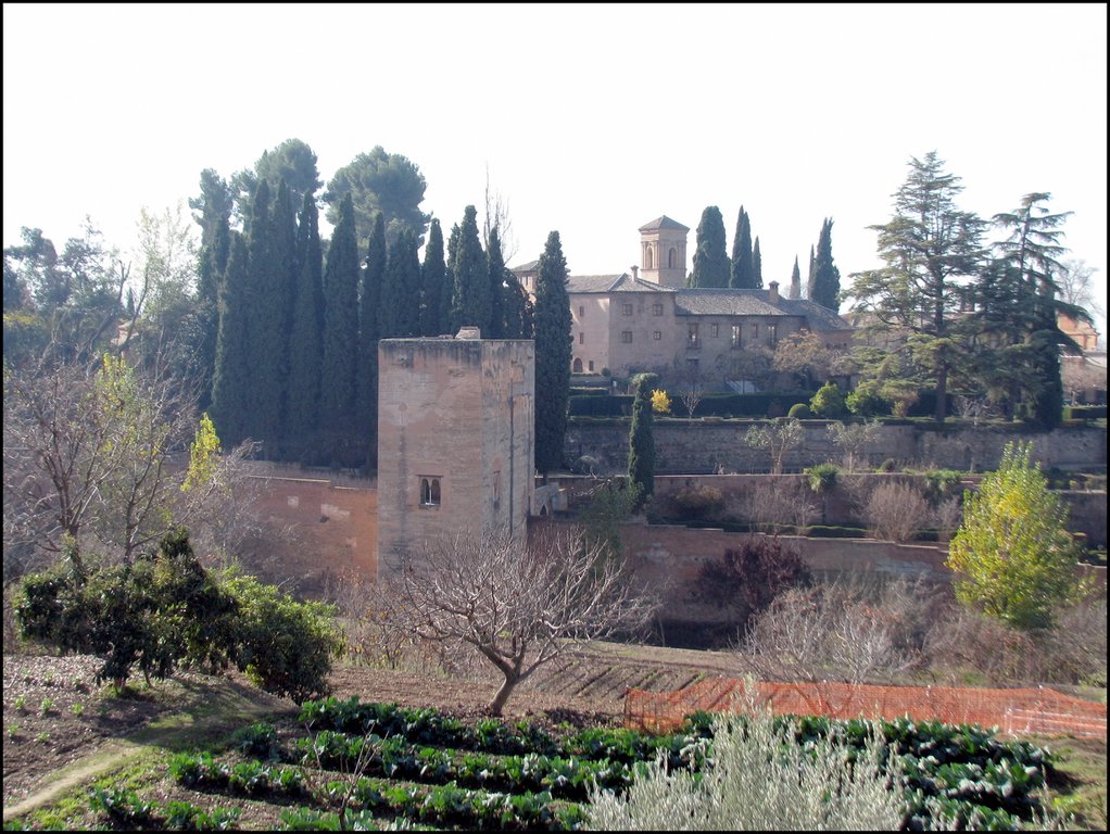 Alhambra 4562.jpg