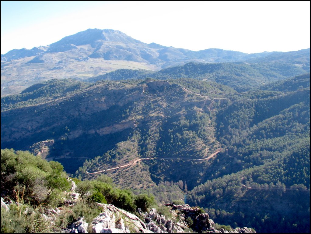 Sierra de las Nieves 7073.jpg