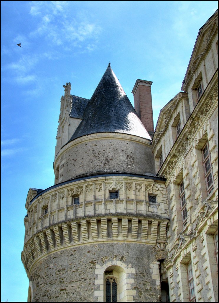 Chateau de Brissac 5736_7_8.jpg