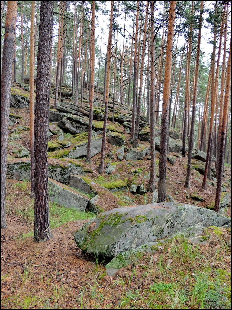 Еланчик 8099 Чашковское каменное