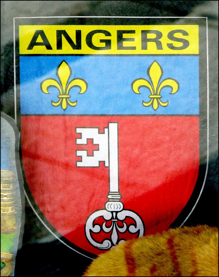 Angers 5727 Герб.jpg