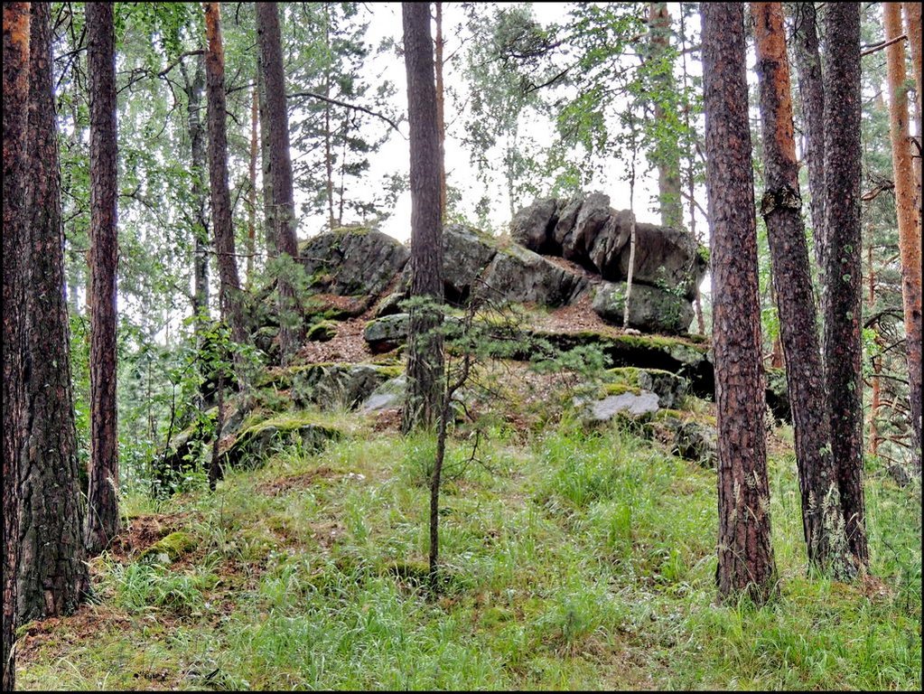 Еланчик 8091 Чашковское каменное