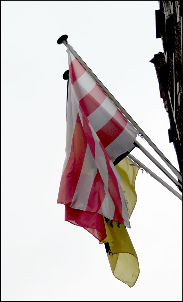 Lier 6618 Grote markt - Флаг.jpg