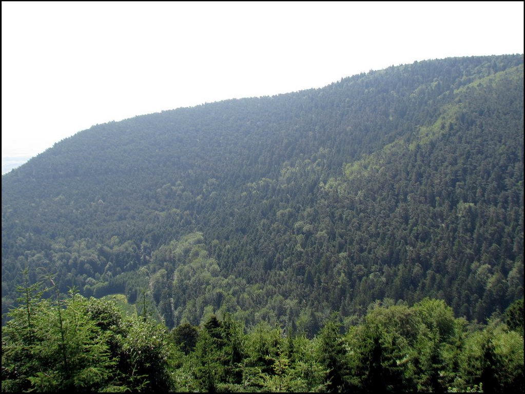 Mont Sainte-Odile 009.jpg