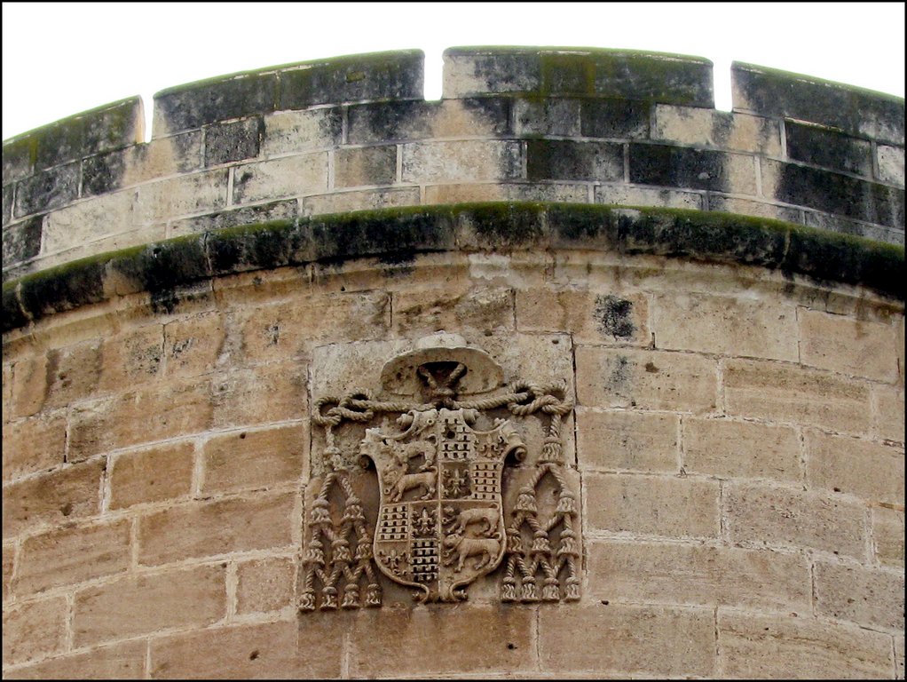 Almeria 6469 Catedral Fortificad