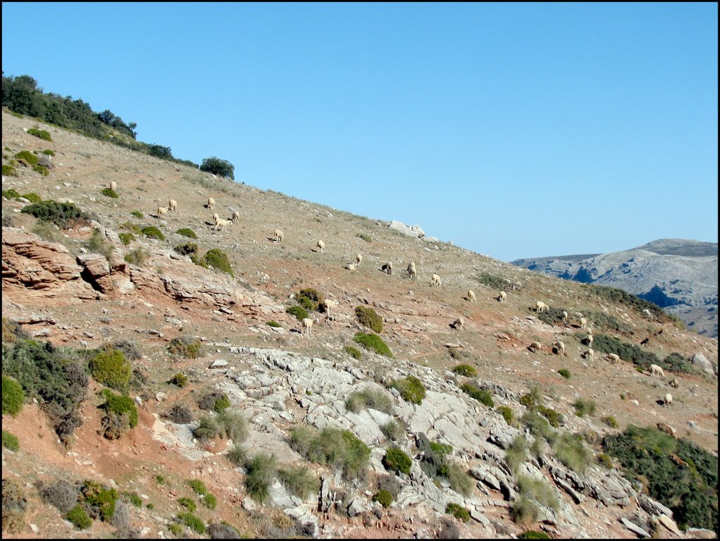 Serrania de Ronda 7091.jpg