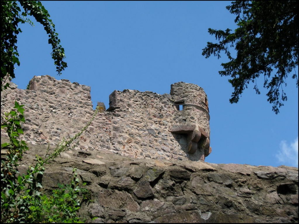 Chateau de Kintzheim 002.jpg