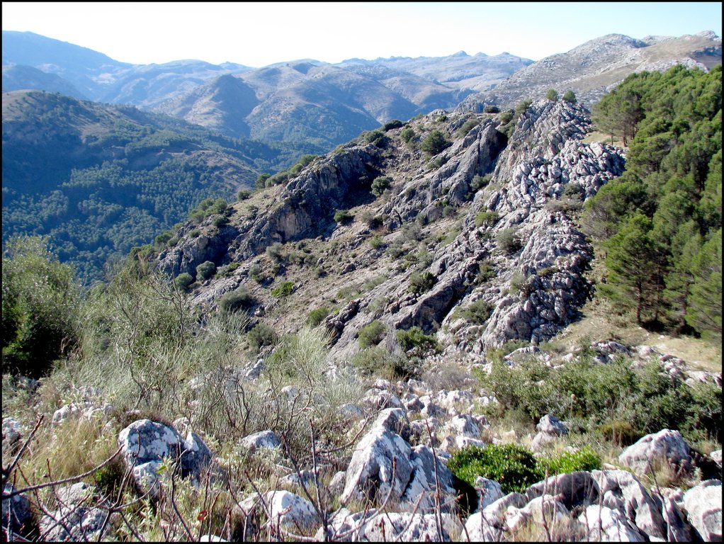 Sierra de las Nieves 7063.jpg
