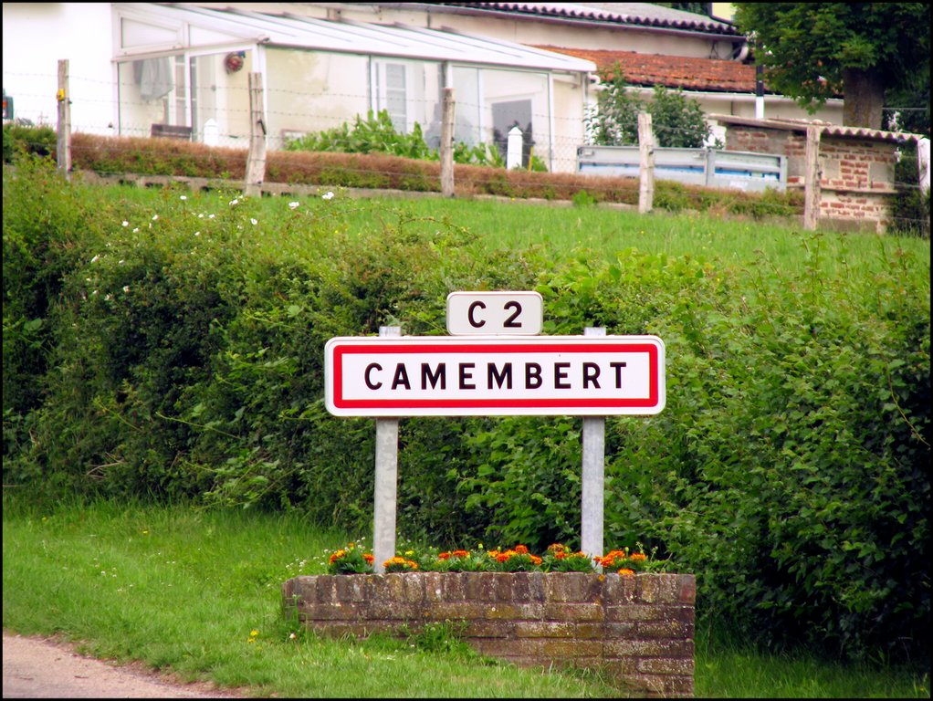 Camembert 2230.jpg