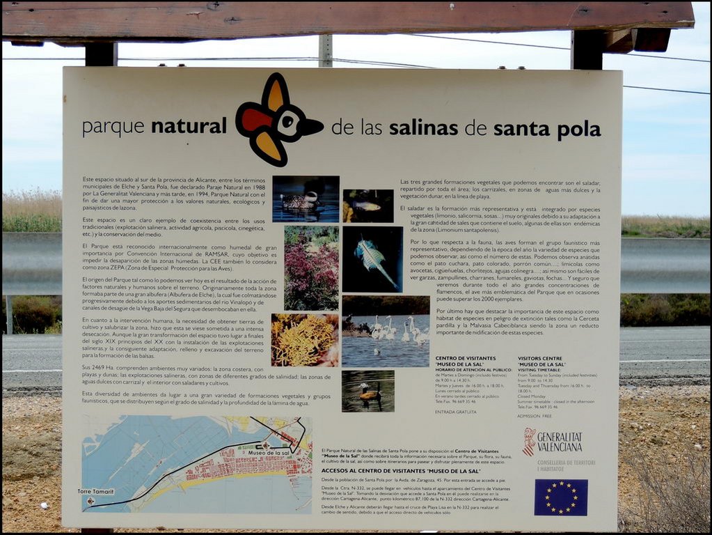 Salinas de Santa Pola 010.jpg