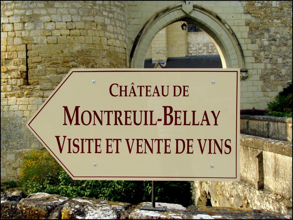 Montreuil-Bellay 5840.jpg