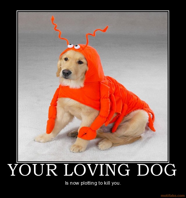 your-loving-dog-demotivational-p