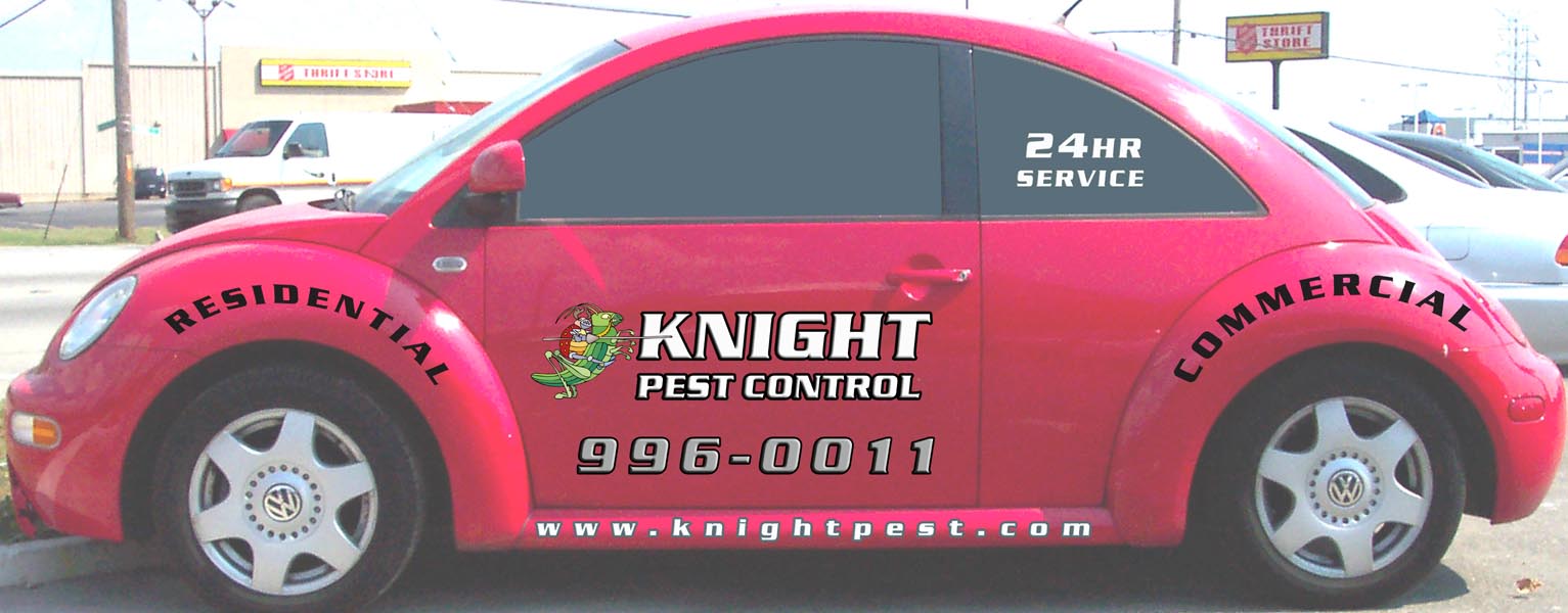 Knight driver design 2 .jpg
