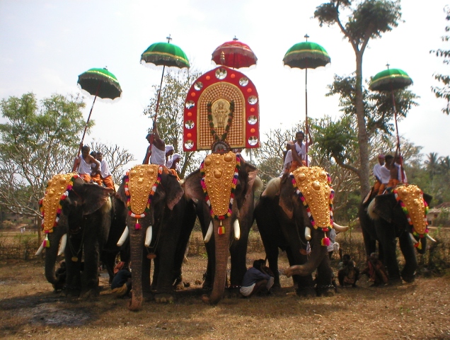 Decorated Elephants in a Temple