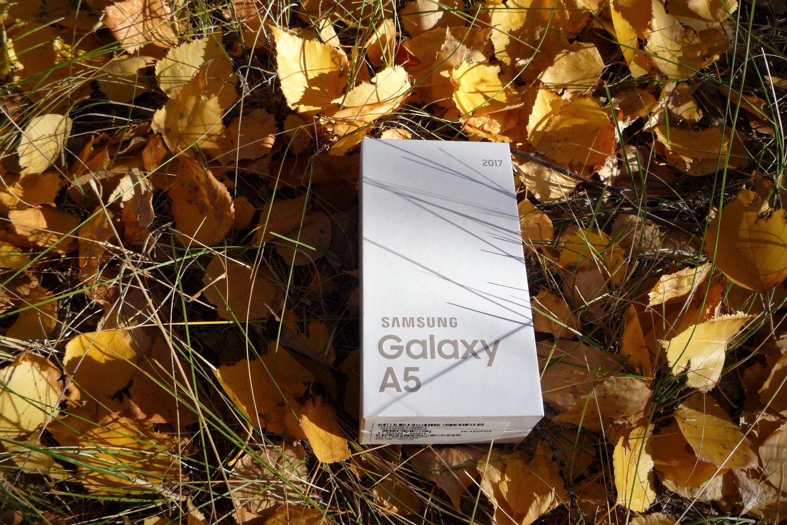 Samsung A5 (1-упаковка).jpg