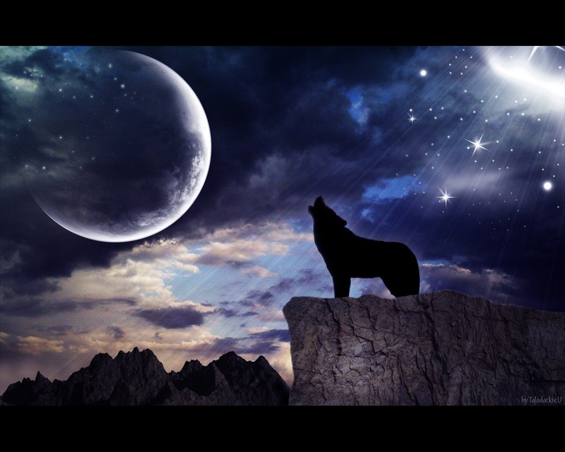dark_moon_howling_wolf_by_talada