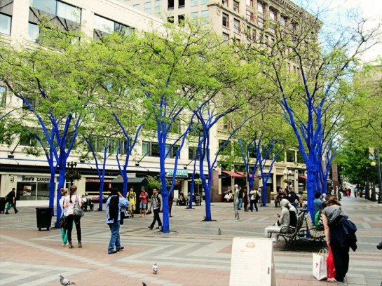 Seattle-Blue-Trees-Just-Give-Me-