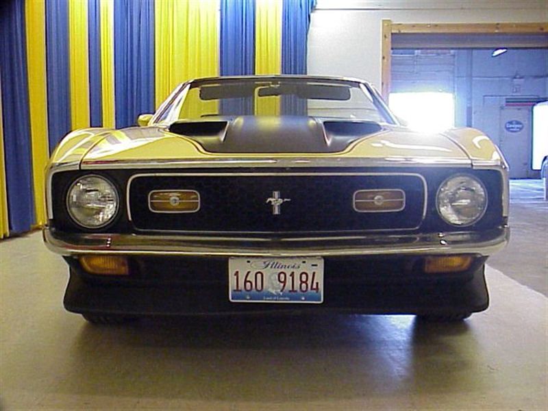 1972 Ford Mus+lack Stripe-e.jpg
