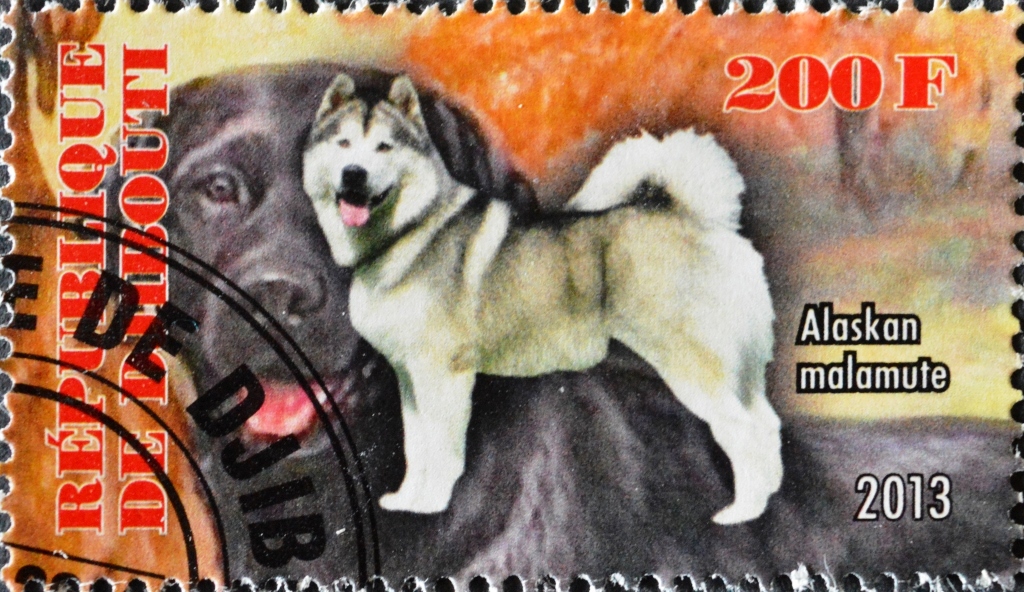 Джибути 2013s 200f. (Породы собак) Аляскинский маламут..jpg