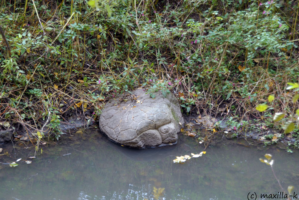 Каменная черепаха