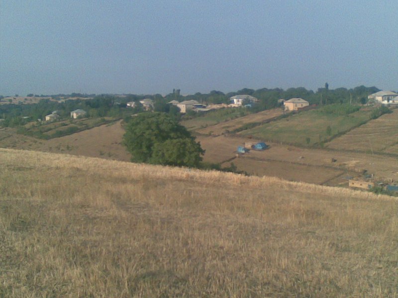 My_Village