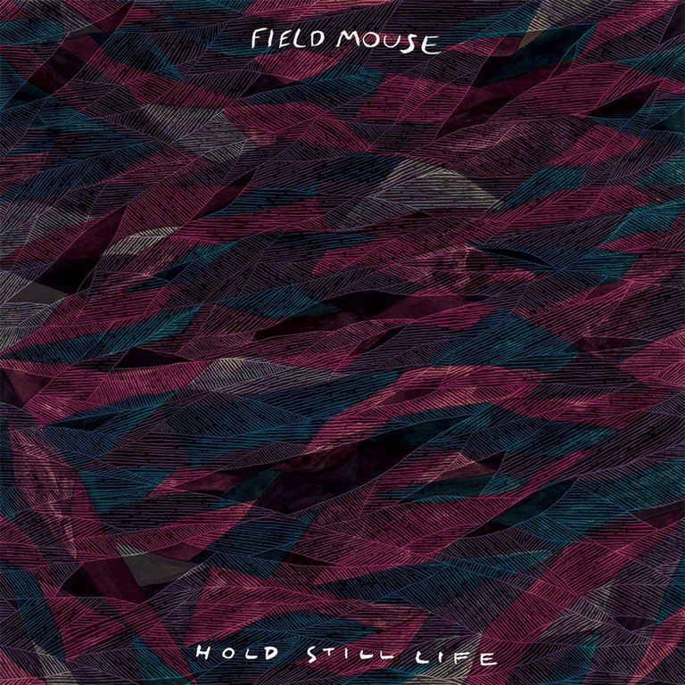 FIELD MOUSE - Hold Still Life  