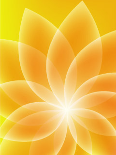 Flora Yellow.jpg