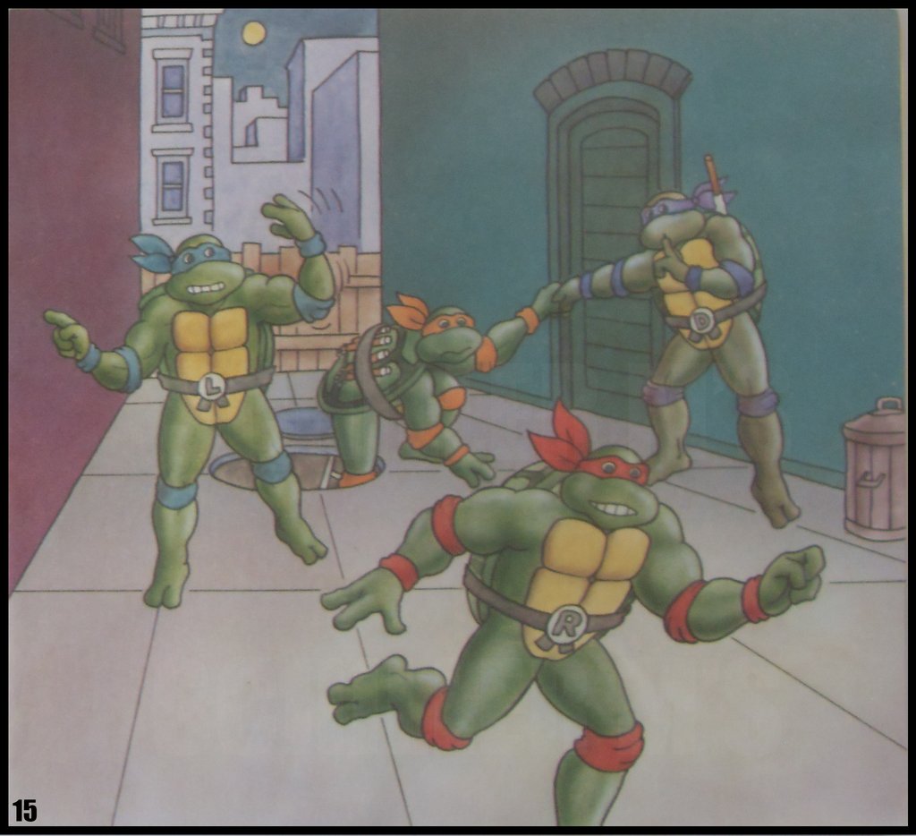 Teenage Mutant Ninja Turtles 15.