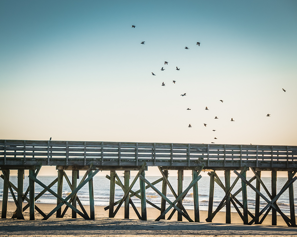 Pigeons over the fishing pier