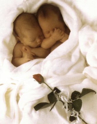 Babys with red rose.jpg