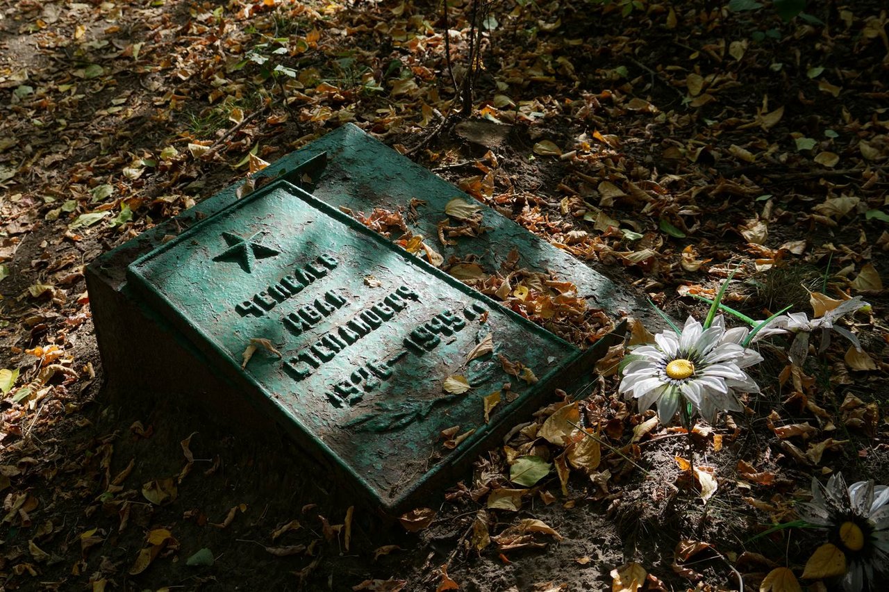Можно на кладбище читать. Старое кладбище. Старые могилы. Витебск старое кладбище. Старое кладбище Янтарный.