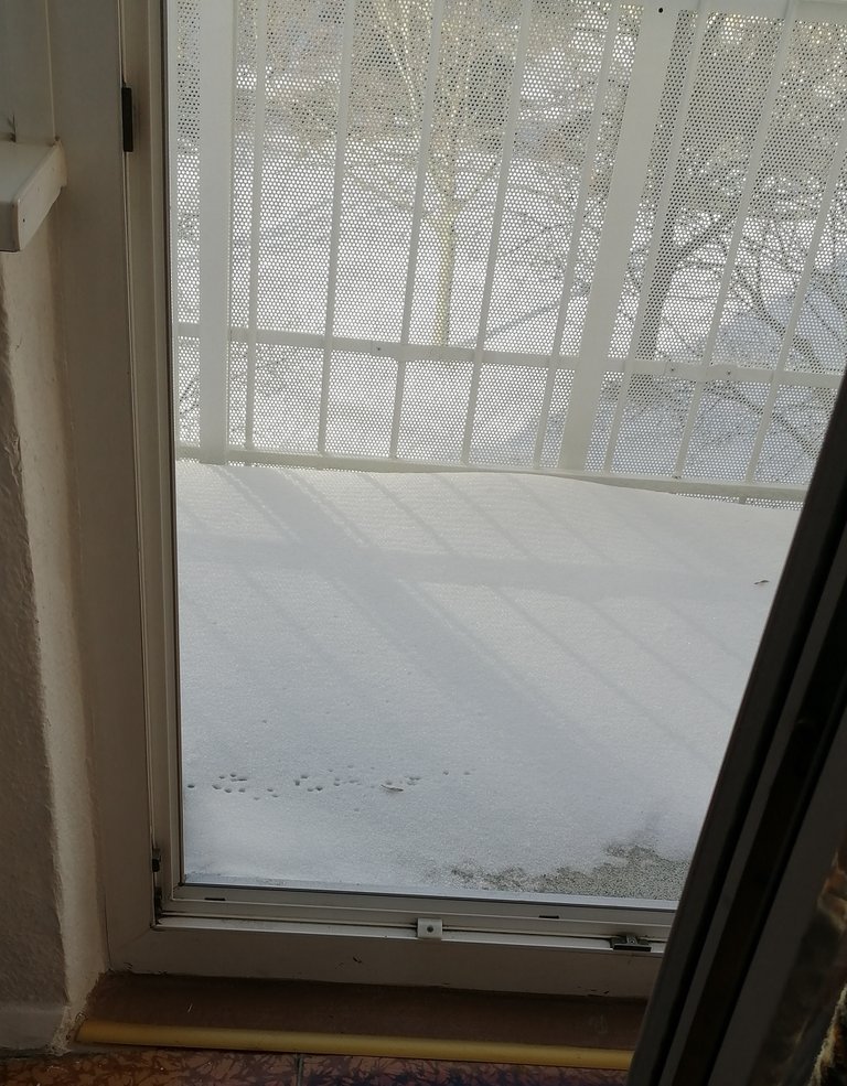 Балкон в снегу.jpg