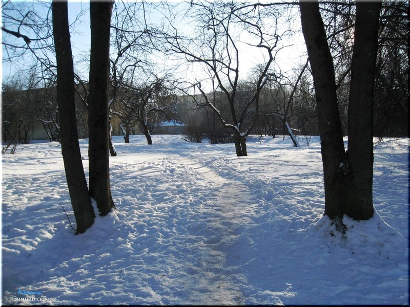 Зима парке