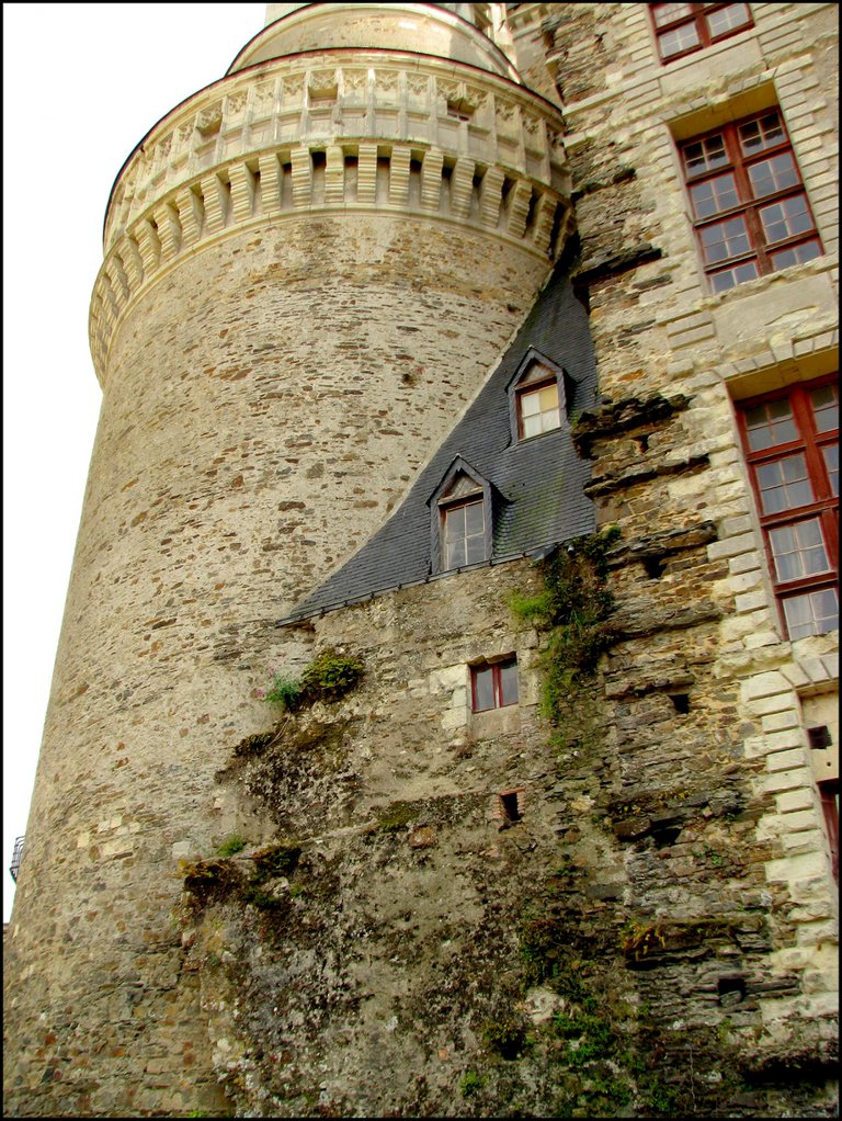 Chateau de Brissac 5787.jpg
