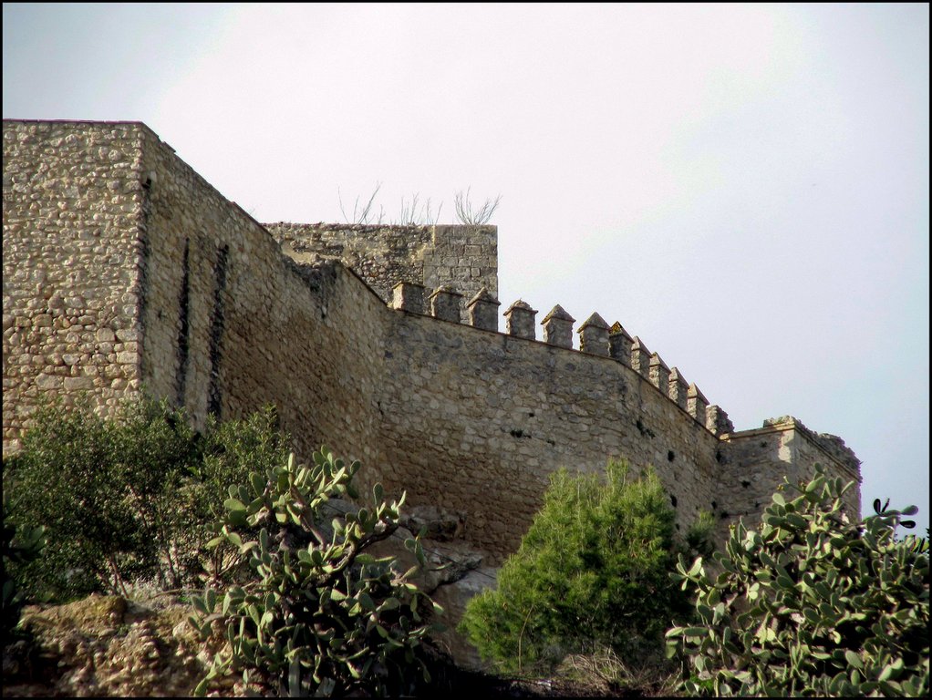 Espera 8789 Castillo de Fatetar.