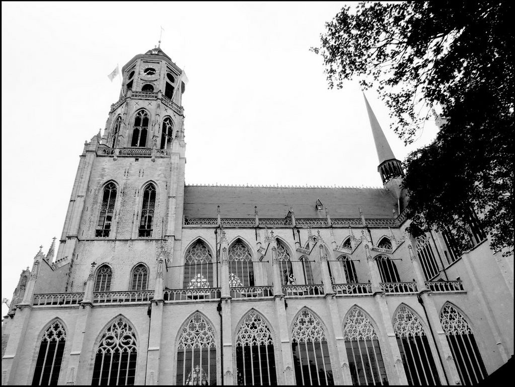 Lier 6565 Sint-Gummaruskerk.jpg