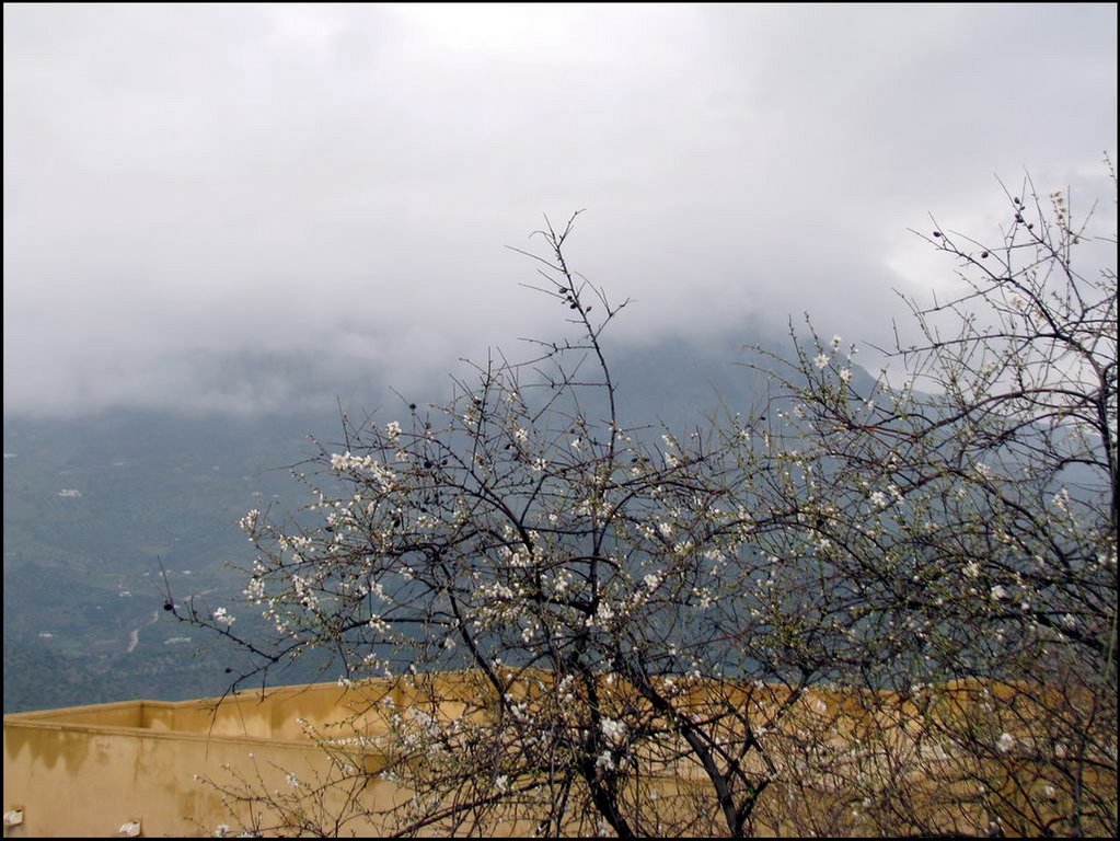 Zahara de la Sierra 126.jpg