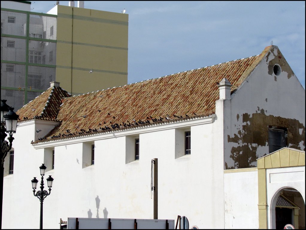 Cadiz 8464 Iglesia de Santa Cata