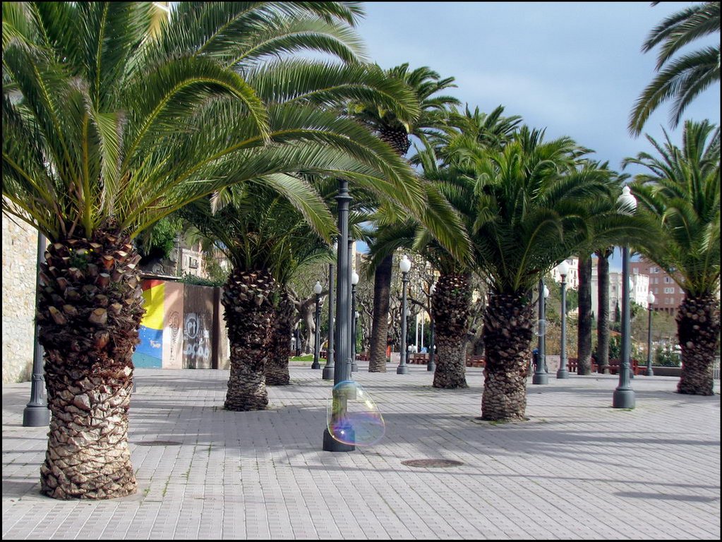 Tarragona 023.jpg