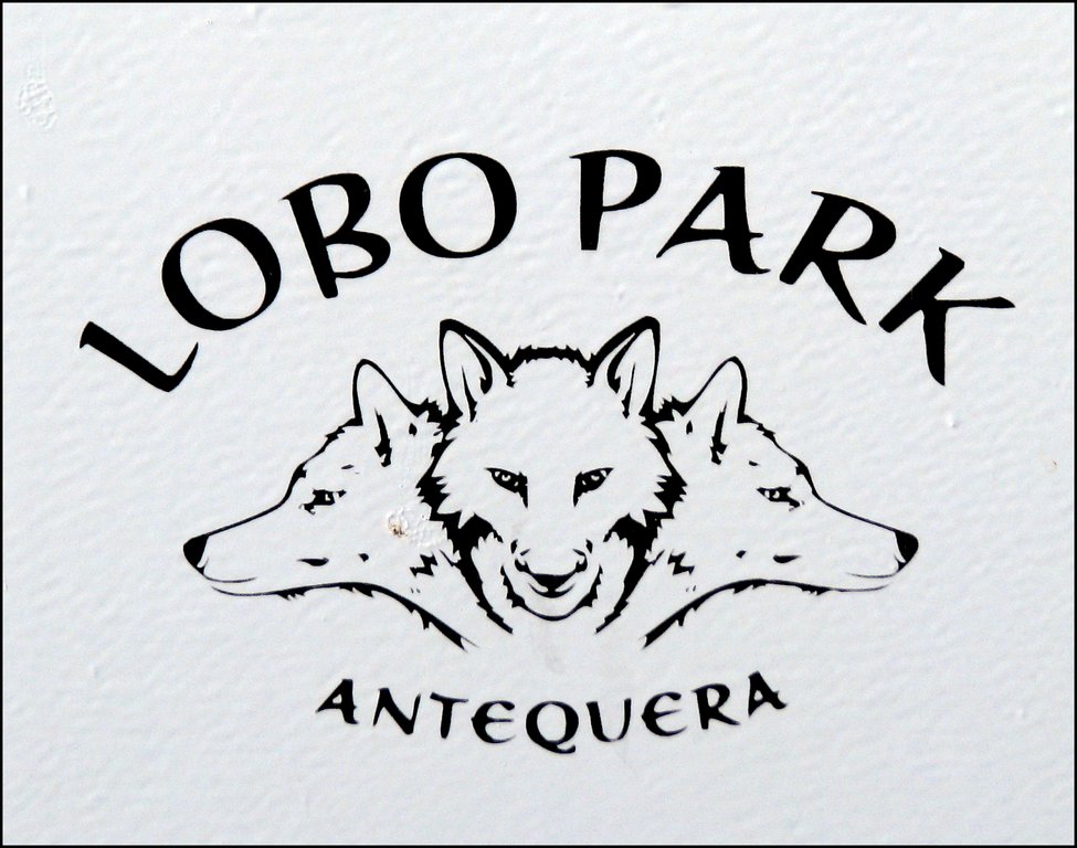 Lobo Park 5140 Волк.JPG