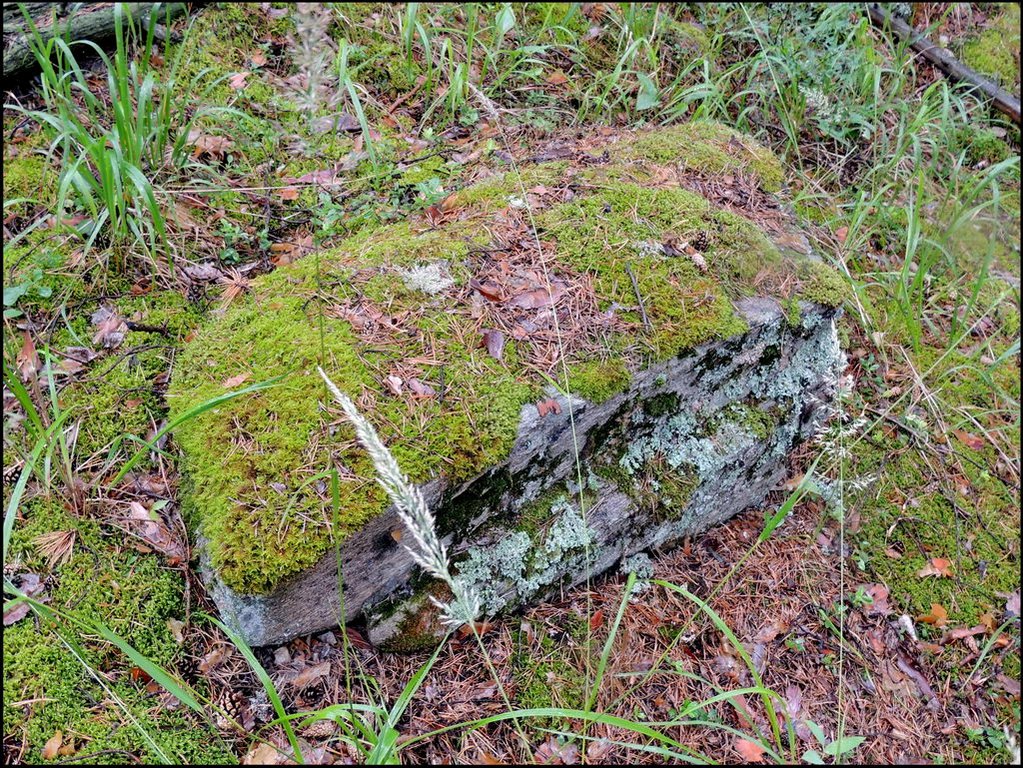 Еланчик 8111 Чашковское каменное