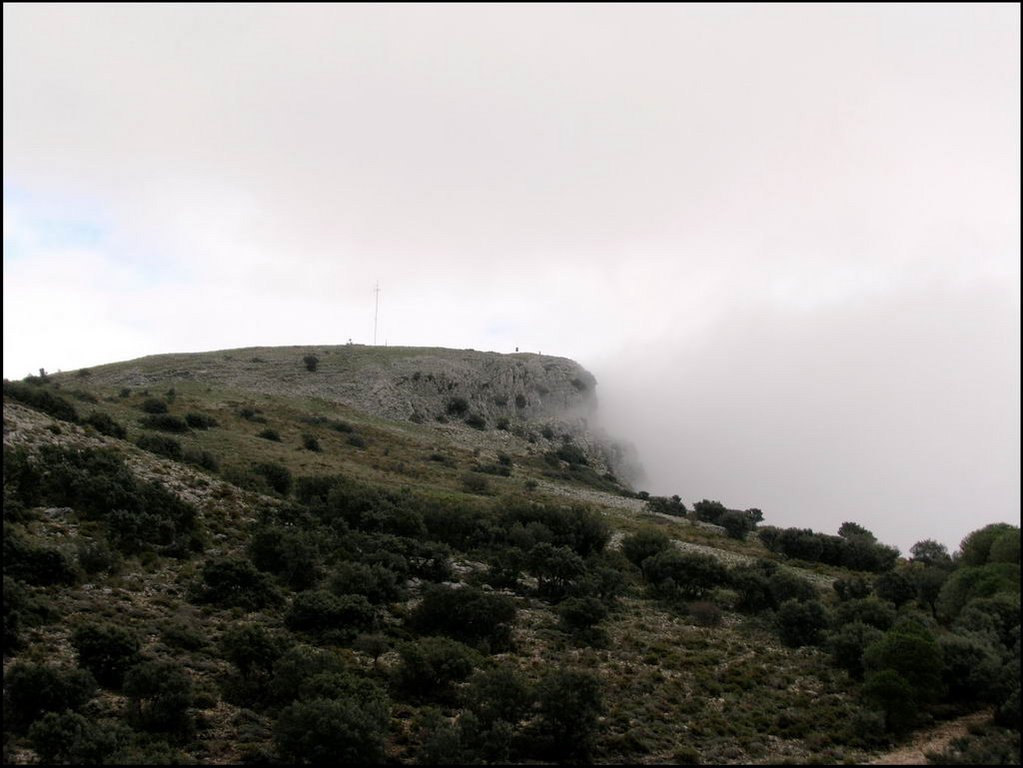 Sierra de Grazalema 055.jpg