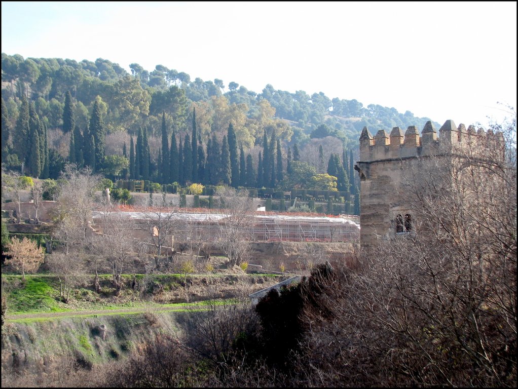 Alhambra 4398 Torre de los Picos