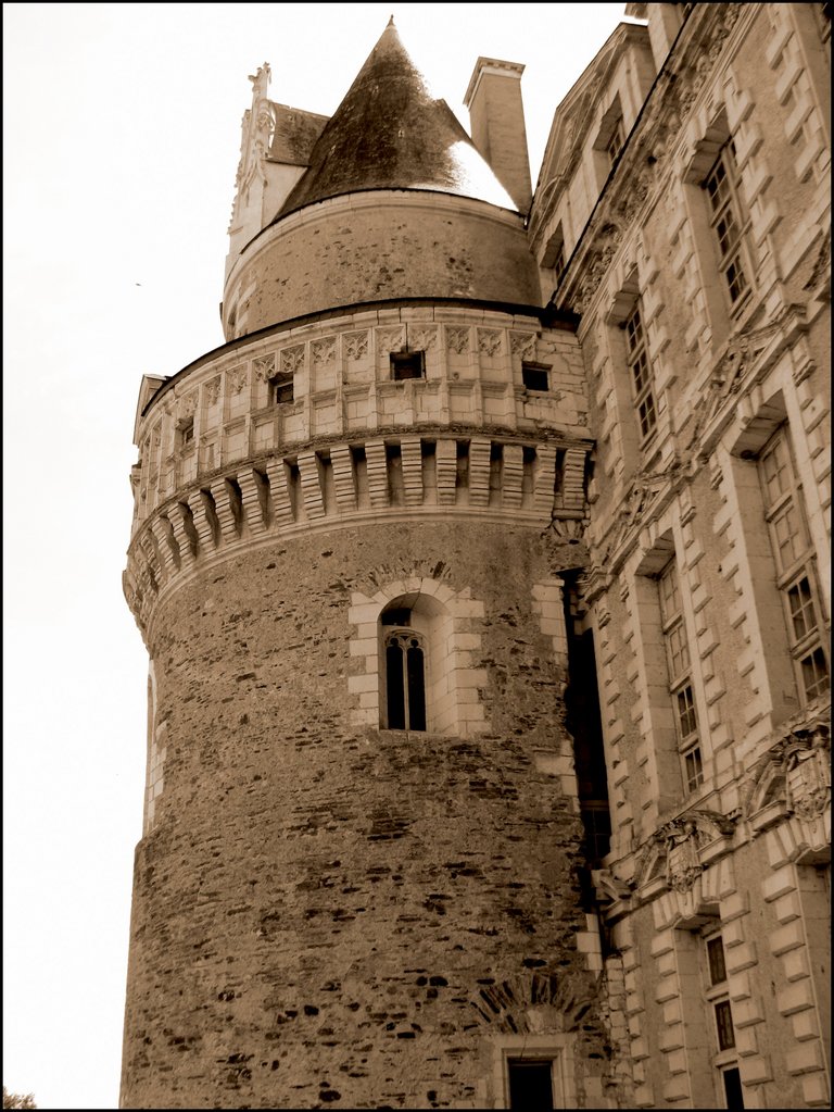 Chateau de Brissac 5740.jpg