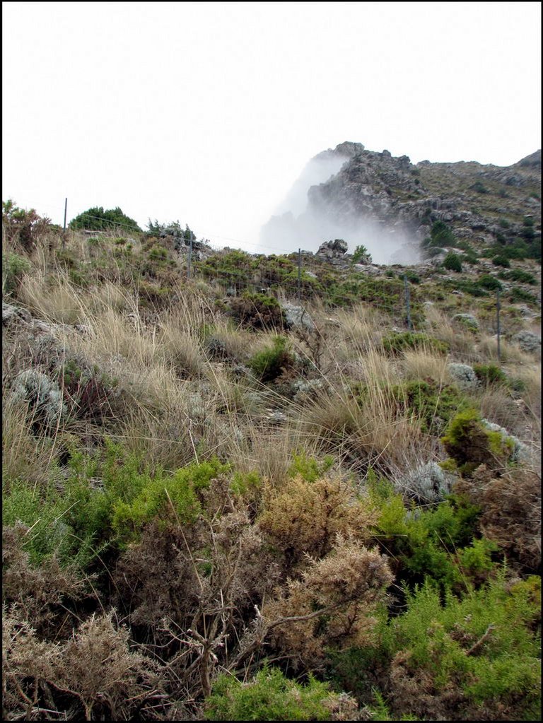 Sierra de Grazalema 076.jpg