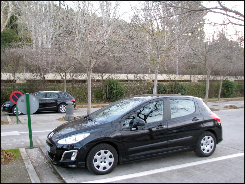 Alhambra 3925 Peugeot 308.jpg