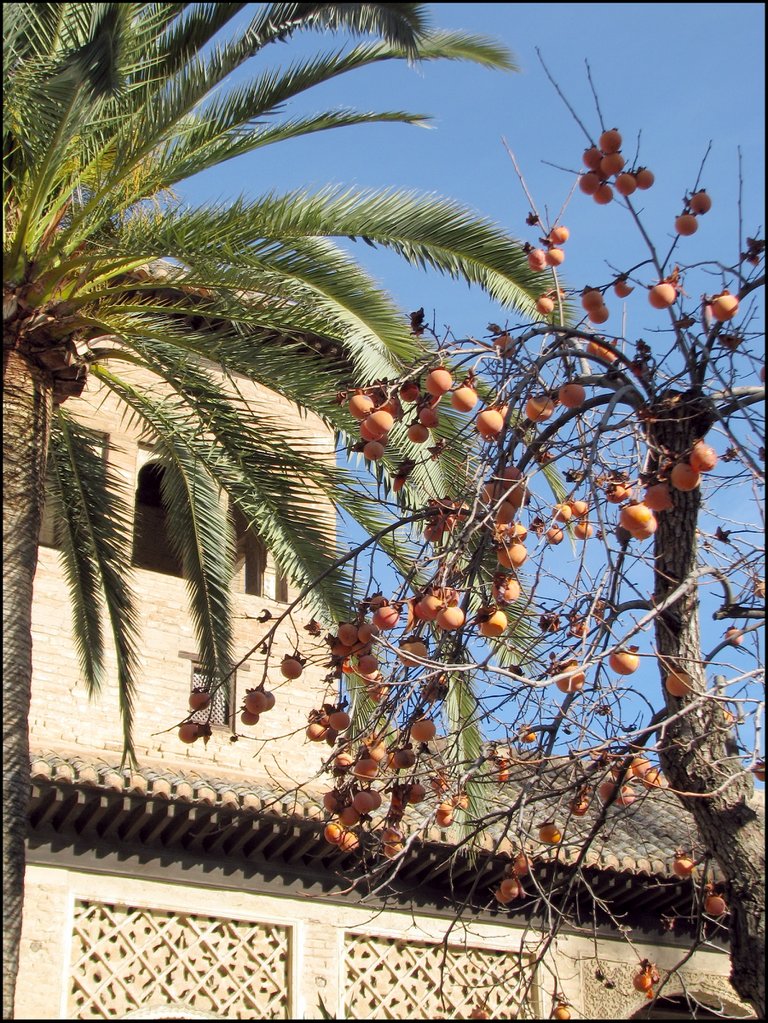 Alhambra 4387 Jardines del Parta